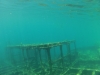 gopr0060