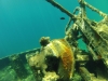 gopr0065